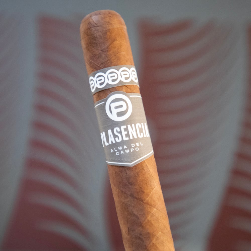 Plasencia Alma Del Campo - Guajiro - Robusto Gordo (Pack of 5)
