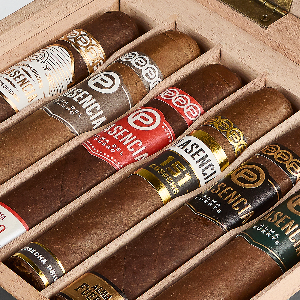 Plasencia 6-Cigar Robusto Collection