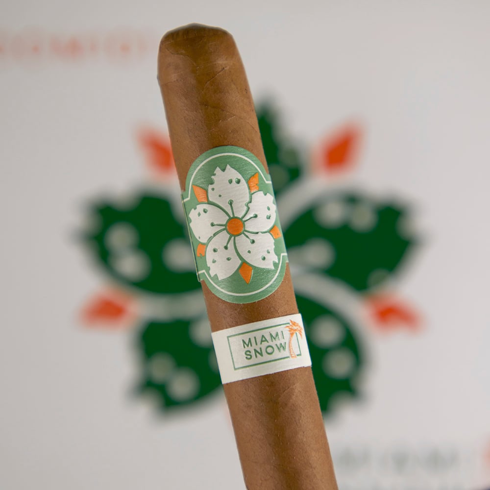 Room101 Miami Snow - Toro (Pack of 5)