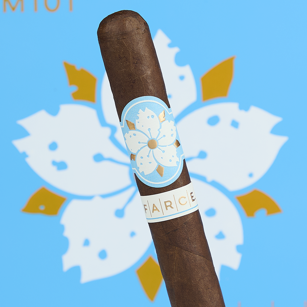 Room101 Farce Nicaragua - Gordo (Box of 20)