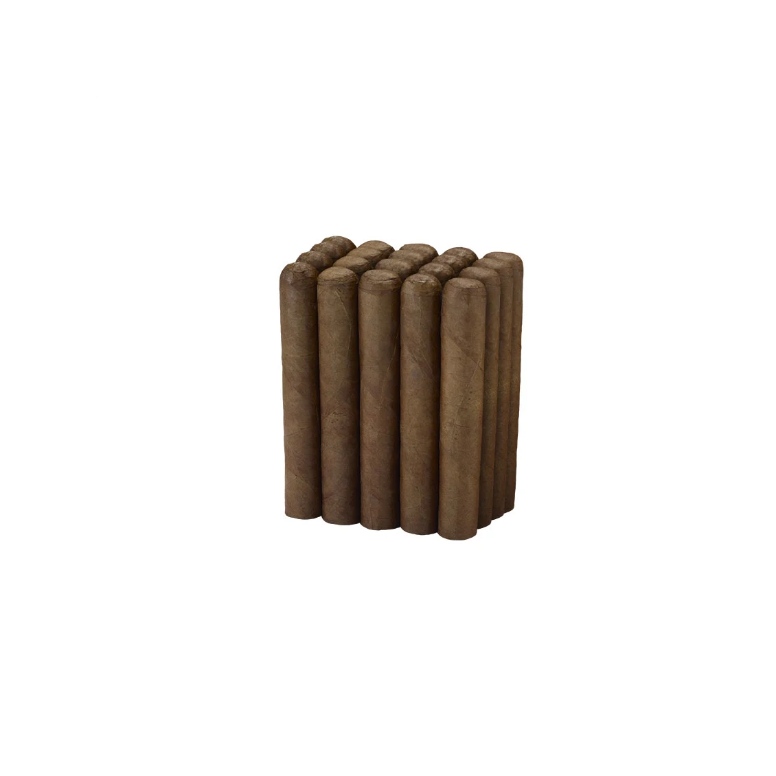 Famous Nicaraguan Bundles Habano Robusto Natural | Robusto | Single of 1