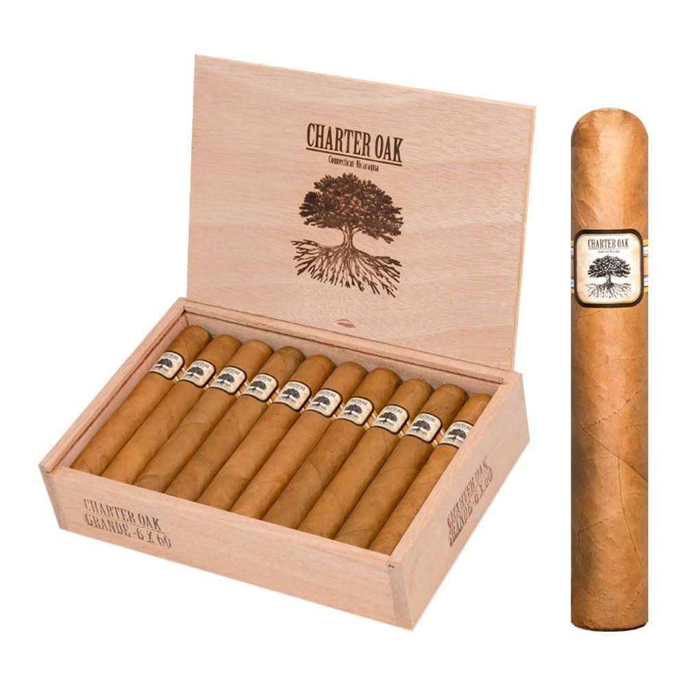 Charter Oak Connecticut Shade Grande - Pack of 5