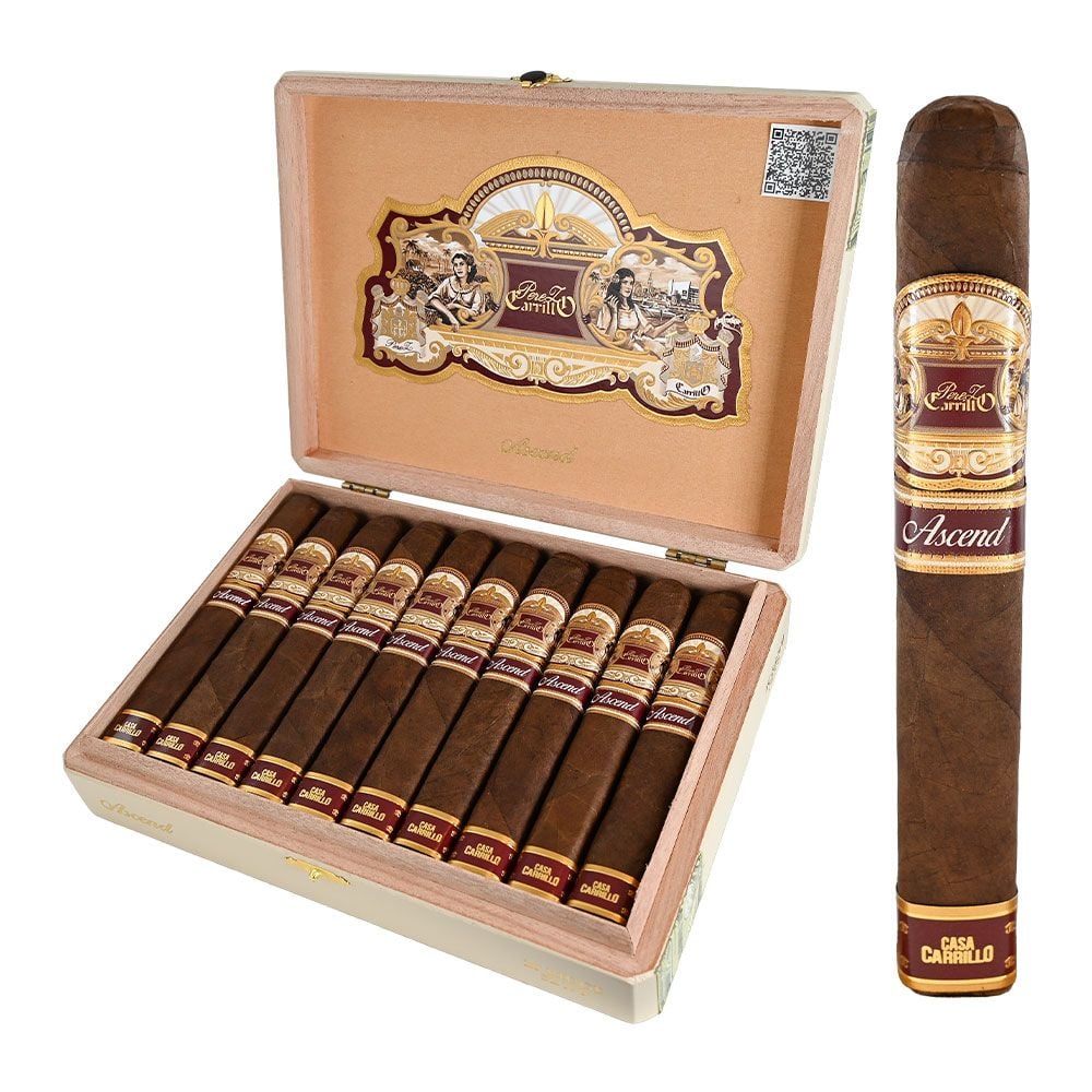 EP Carrillo Ascend Saddle - Robusto - Pack of 5