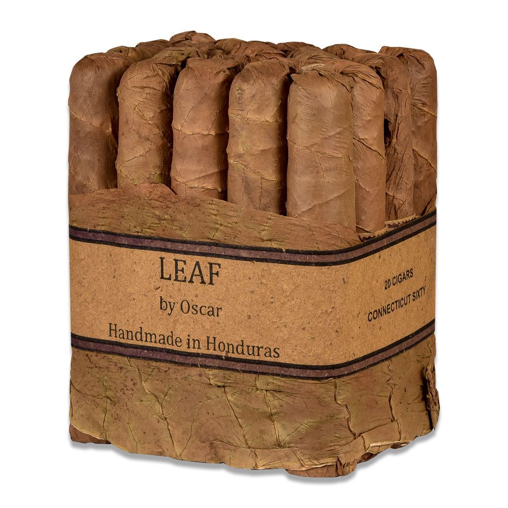 Leaf by Oscar Gordo Connecticut - Bundle of 20, photo 2