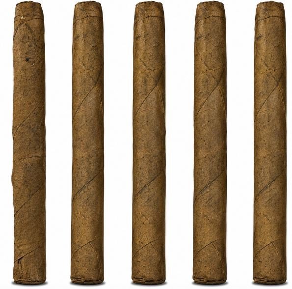 Acid C-Note 5-Pack