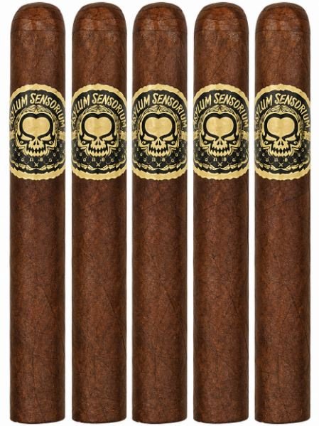 Asylum Sensorium 11/18 5-Pack
