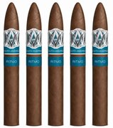 Avo Syncro Ritmo Torpedo Largo | Box of 5