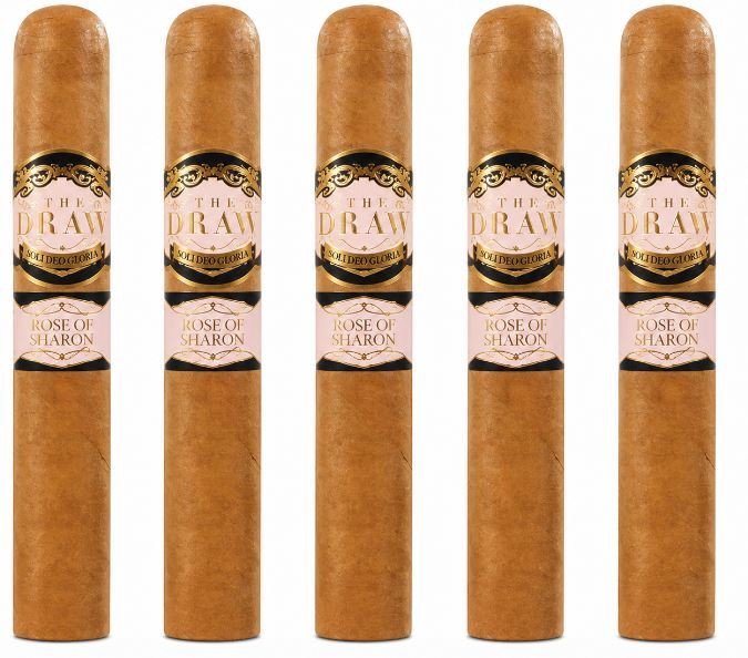Southern Draw Rose of Sharon Gordo 5-Pack