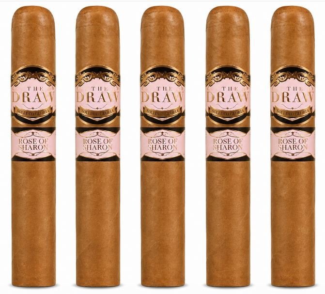 Southern Draw Rose of Sharon Gordo 5-Pack
