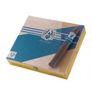 Avo Syncro Ritmo Torpedo Largo | Box of 20