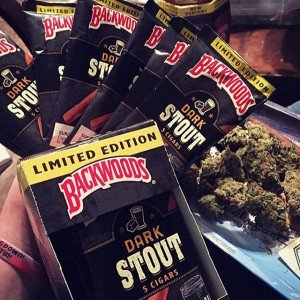 Backwoods Dark Stout