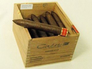 Cain by Oliva F 654T