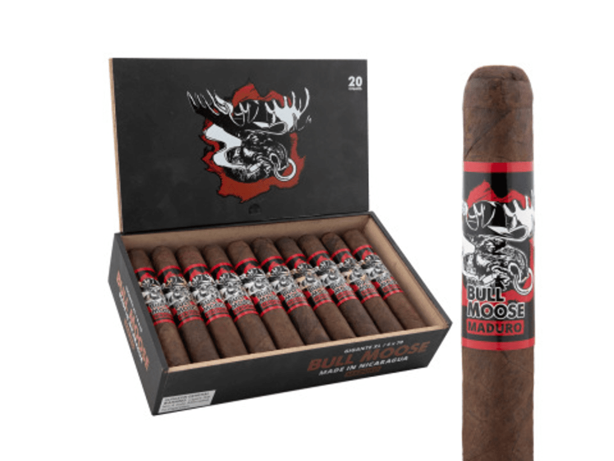 Chillin Moose Bull Moose Gigante Maduro