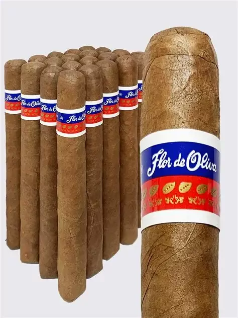 Flor de Oliva Robusto