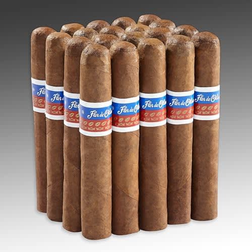 Flor de Oliva Toro