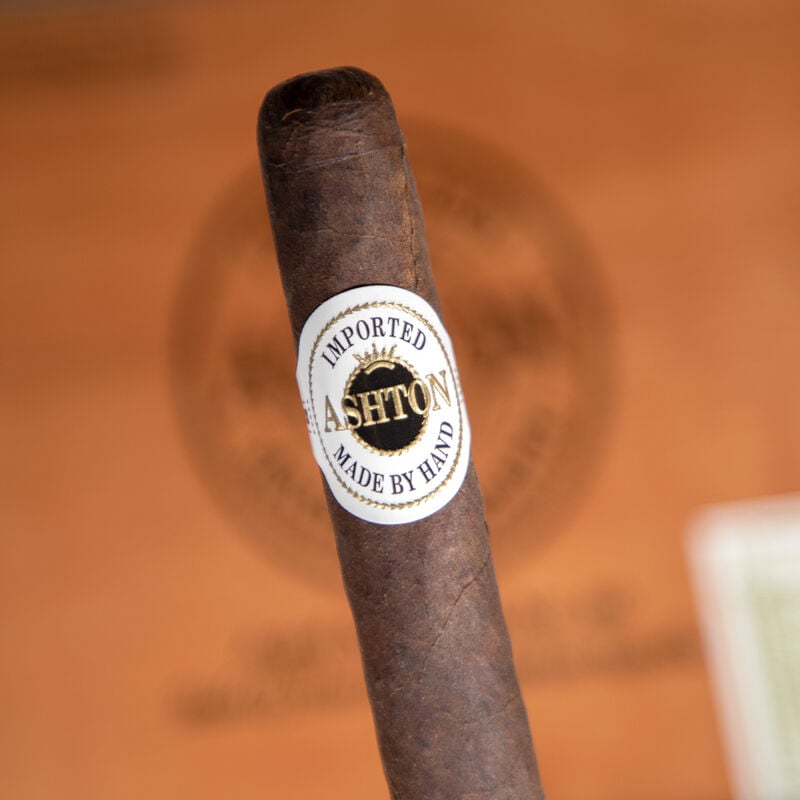 Ashton Aged Maduro - No. 40 (Single)