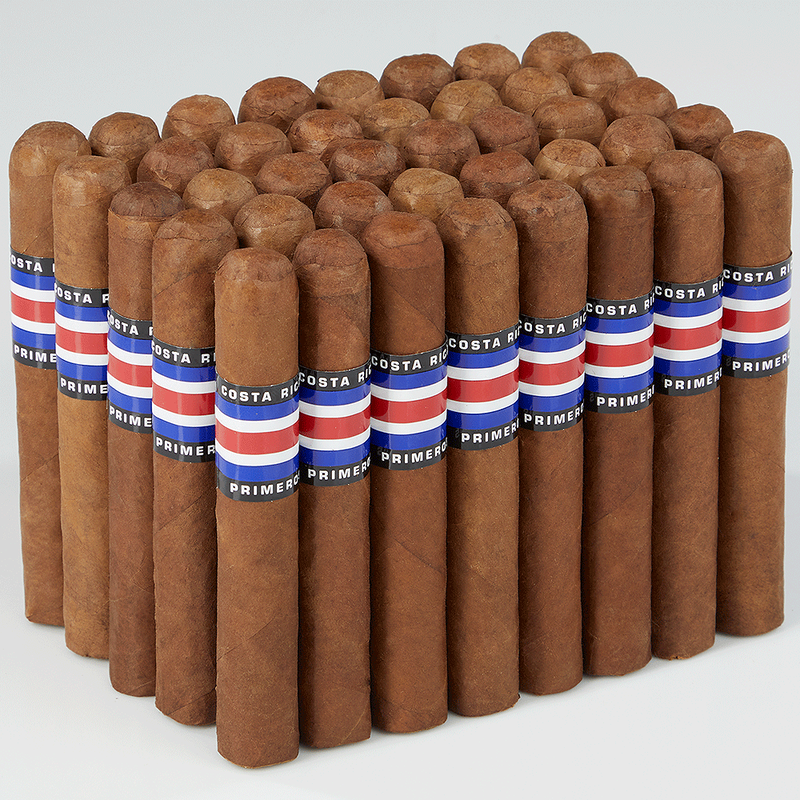 Primeros Regionals Costa Rican - Toro (Pack of 40)