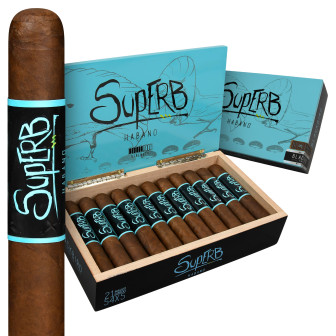 Blackbird Superb Robusto 21 Pack