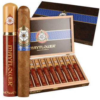 Mayflower Dawn of America Toro Tubo 10 Pack