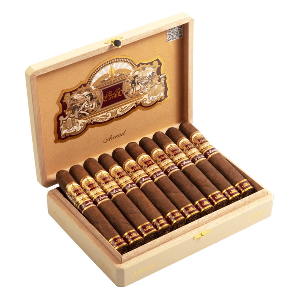 E.P. Carrillo Ascend | Saddle | Box of 20